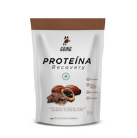Bolsa de proteína vegana x 20 porciones - sabor a CHOCOLATE.